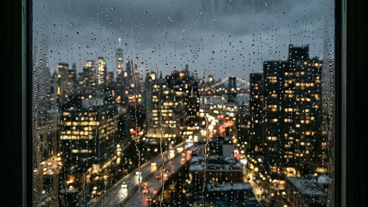 검색창 앞에서 주저하는 손가락: AI가 절대 읽어내지 못하는 유저의 얼어붙은 속마음